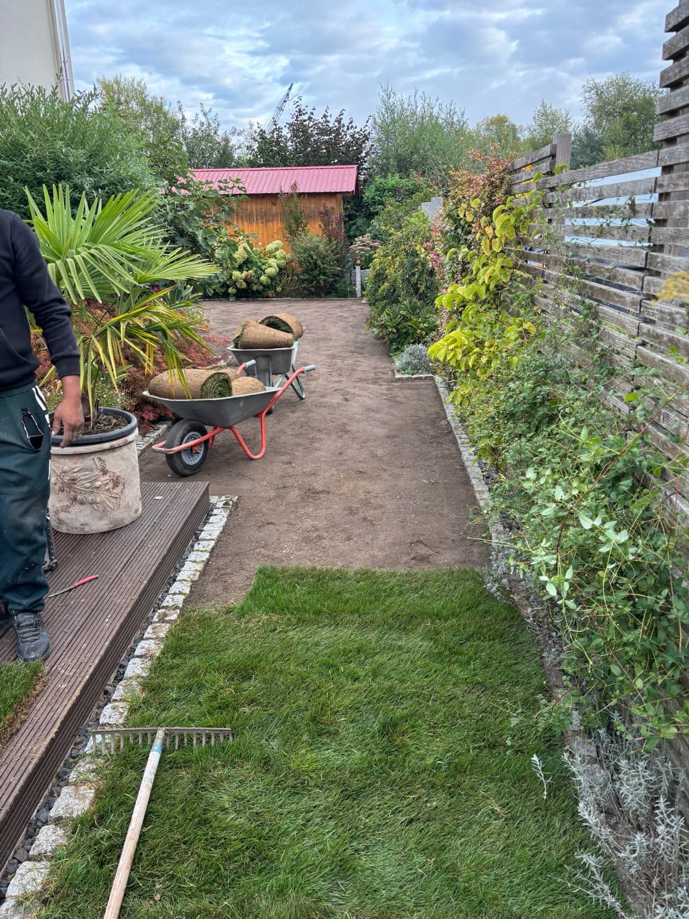 Garten mit frisch verlegtem Rollrasen