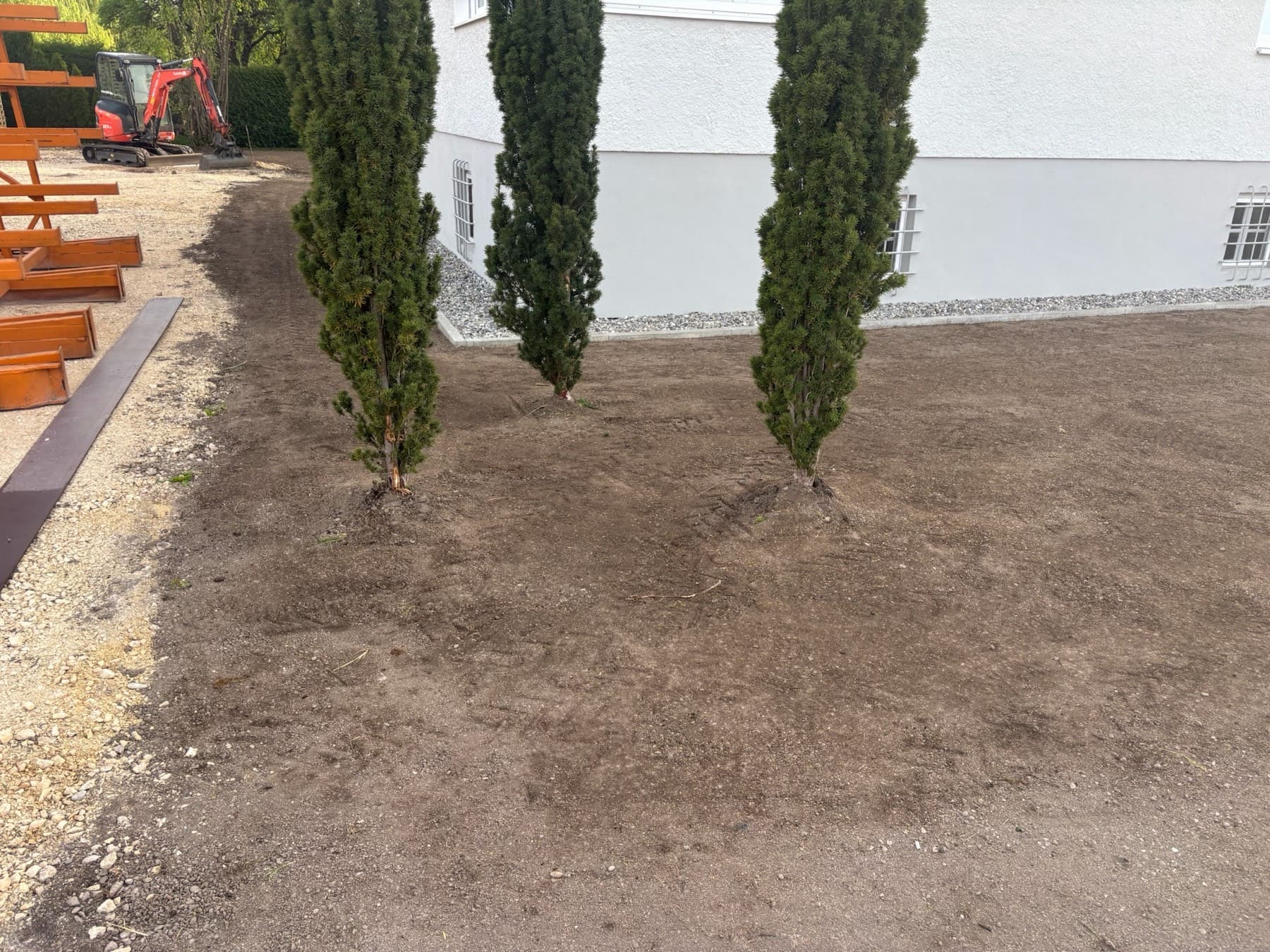 Hof mit Baum und Rasen