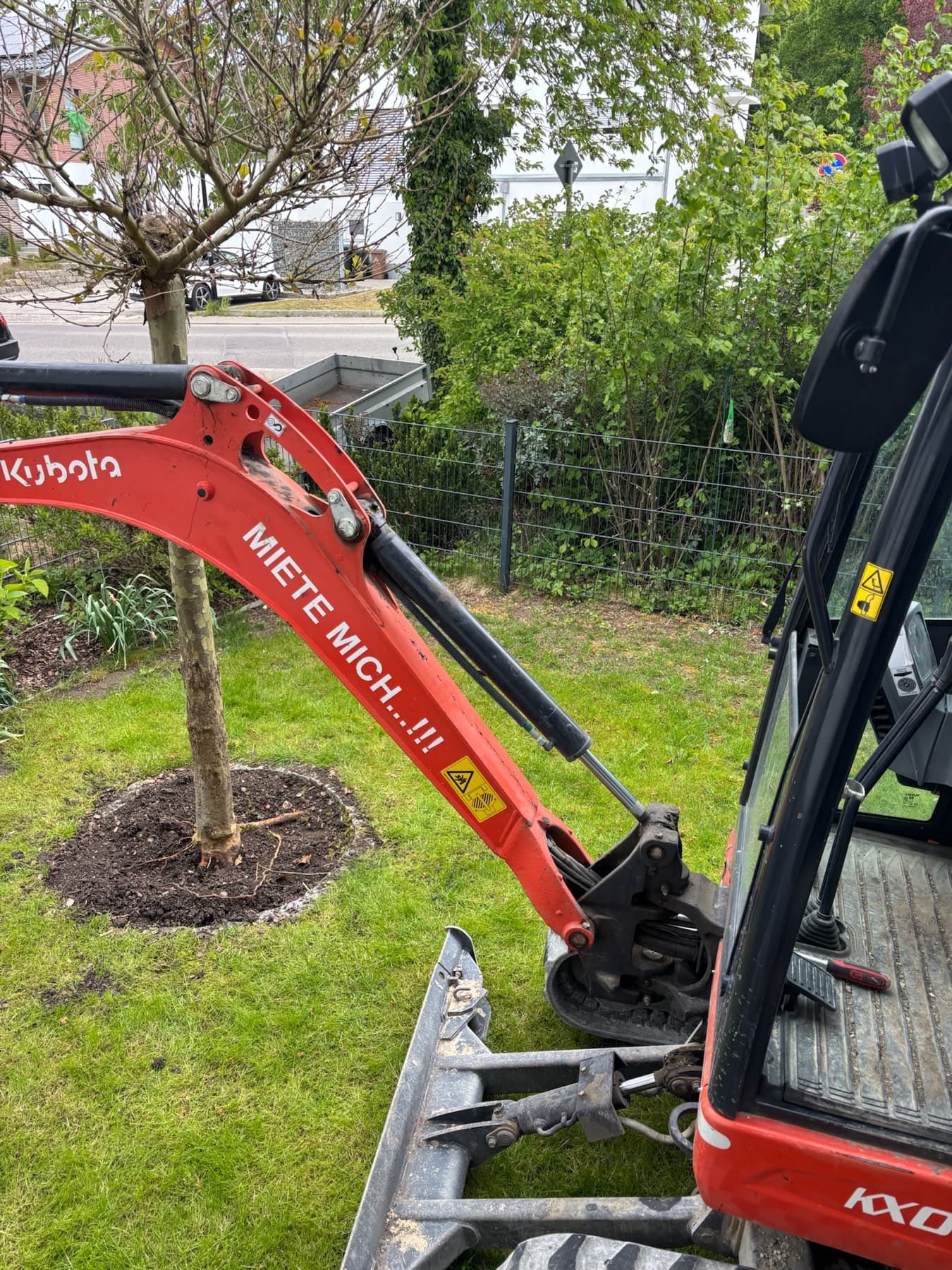 Baum wird mit dem Bagger gepflanzt