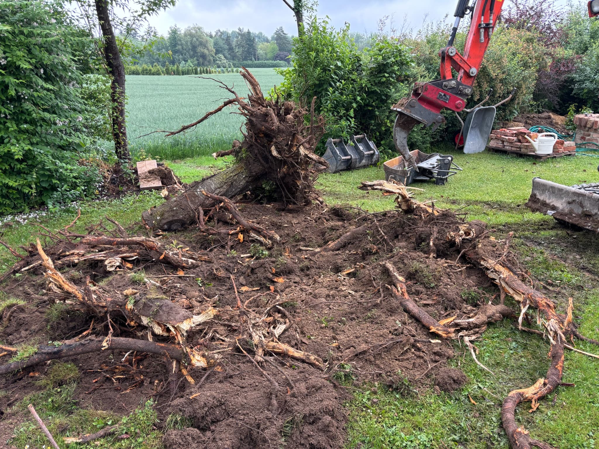 Baggerarbeiten – Waldenmayer GaLaBau Gundelfingen